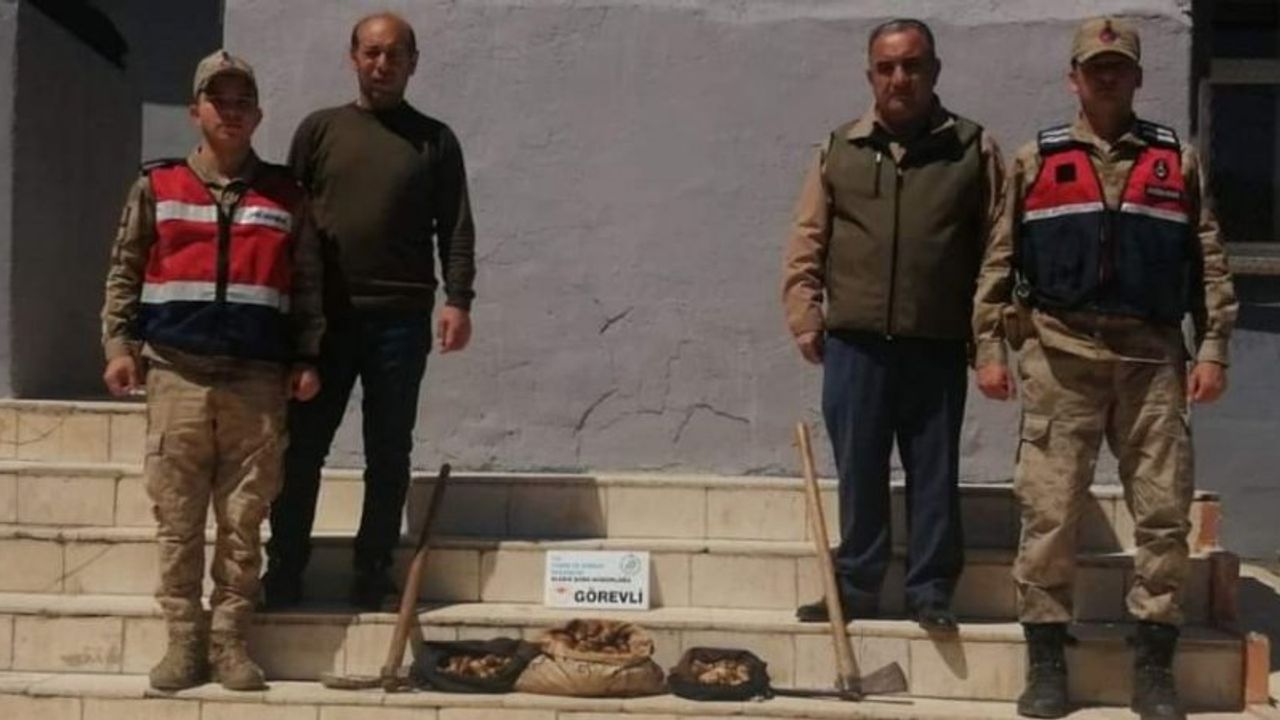 Elazığ’da Salep Soğanı Toplayan 8 Kişiye Büyük Ceza