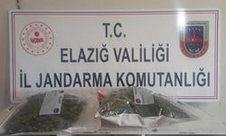 Mişa İşbaşında!