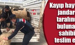 Kayıp hayvanlar jandarma tarafından bulunarak sahibine teslim edildi