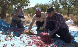 ELAZIĞ'DAN GAZIANTEP'E 'FISTIKLI' GÖZDAĞI