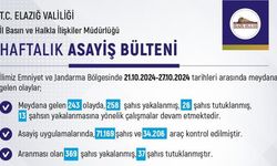 ELAZIĞ’DA MEYDANA GELEN 243 OLAYDA 258 ŞÜPHELİ YAKALANDI