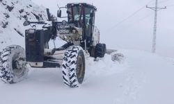 ELAZIĞ’DA 5 KÖY YOLU ULAŞIMA KAPANDI