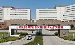 FETHİ SEKİN ŞEHİR HASTANESİ'NDE HİZMETTE REKORLAR YILI