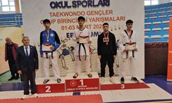 TAEKWONDO'DAN ELAZIĞ'A 9 MADALYA