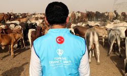 2025 KURBAN KESİM BEDELLERİ AÇIKLANDI