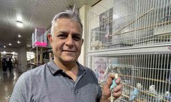MUHABBETİ KUŞLARDA BULDULAR…