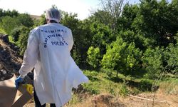 AĞACA ASILI ERKEK CESEDİ BULUNDU