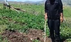 ELAZIĞLI ÜRETİCİ DOMUZLARA SİTEM ETTİ