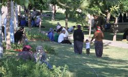 İLAÇLAMA ÇALIŞMALARI SÜRÜYOR