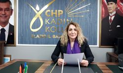 KADIN CİNAYETLERİ MÜNFERİT DEĞİL, POLİTİKTİR!