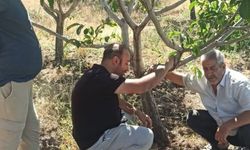 KOVANCILAR'DA ÇİFTÇİLER BİLGİLENDİRİLDİ
