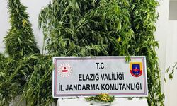 UYUŞTURUCU İLE MÜCADELE SON HIZ