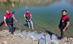 BARAJ GÖLÜNE YAVRU BALIK BIRAKILDI
