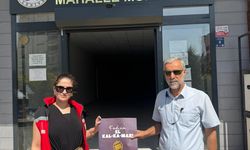 KADINA YÖNELİK ŞİDDETLE MÜCADELE