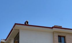 ÇATIDA TEHLİKELİ ÇALIŞMA