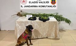 ZEHİR İLE MÜCADELEYE DEVAM...