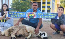 ADAKLARINI KESTİLER