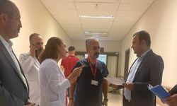 ÇAPRAZ DEĞERLENDİRME ÇALIŞMASI
