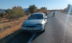 OTOMOBİLİN ÇARPTIĞI AT TELEF OLDU