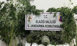ZEHİR İLE MÜCADELE: 1 TUTUKLAMA