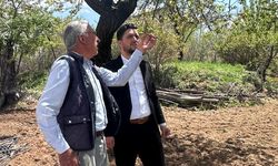 DESTEK VAR, UMUT VAR
