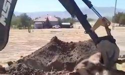 VATANDAŞ TEPKİ GÖSTERDİ