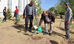 FİDAN DİKİMİ YAPILDI