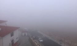 ELAZIĞ'DA SİS ETKİLİ OLDU