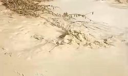 BASKİL'DE DERELER TAŞTI