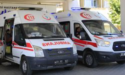 ÜZÜM ALMAYA GELDİ, HAYATINI KAYBETTİ