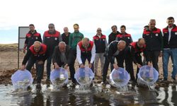 SU KAYNAKLARINI BALIKLANDIRMA PROJESİ