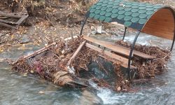 PALU'DA TEKE DERESİ TAŞTI