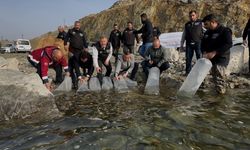 KARAKAYA BARAJ GÖLÜ'NE 420 BİN YAVRU BALIK BIRAKILDI