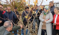 AĞAÇ BUDAMA VE AŞILAMA EĞİTİMİ