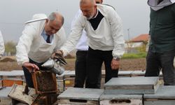 ARI KOVANLARI İNCELENDİ