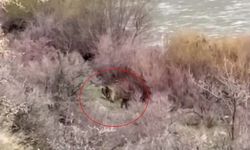 PALU'DA BALIKÇININ KARŞISINA ÇIKTILAR