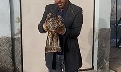 YARALI KARTAL KORUMA ALTINA ALINDI