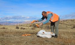 DOĞAYA YEM BIRAKILDI