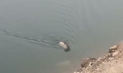 BARAJ GÖLÜNDE YÜZERKEN GÖRÜNTÜLENDİ