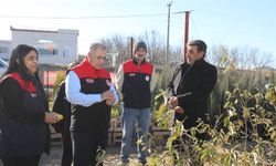 FİDANCILIK İŞLETMELERİNE DENETİM