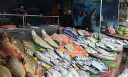 HAVALARIN SOĞUMASI İLE BALIĞA RAĞBET ARTTI