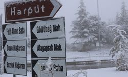 AYNI RAKIMDA KAR VE SİS