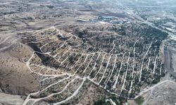 MEZARLAR BİR TIK UZAKTA