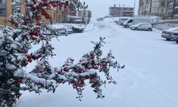 KENT BEYAZA BÜRÜNDÜ