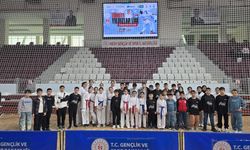 TURNUVAYA DAMGA VURDULAR