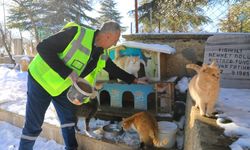 DOĞAYA YEM BIRAKILDI