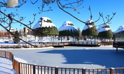 SÜS HAVUZLARI DONDU