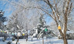 KARAKOÇAN'DA TERMOMETRELER -22 DERECEYİ GÖSTERDİ