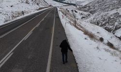 YOL KENARLARINA BUĞDAY SERPTİLER