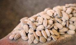 GELENEKTEN YENİLİĞE